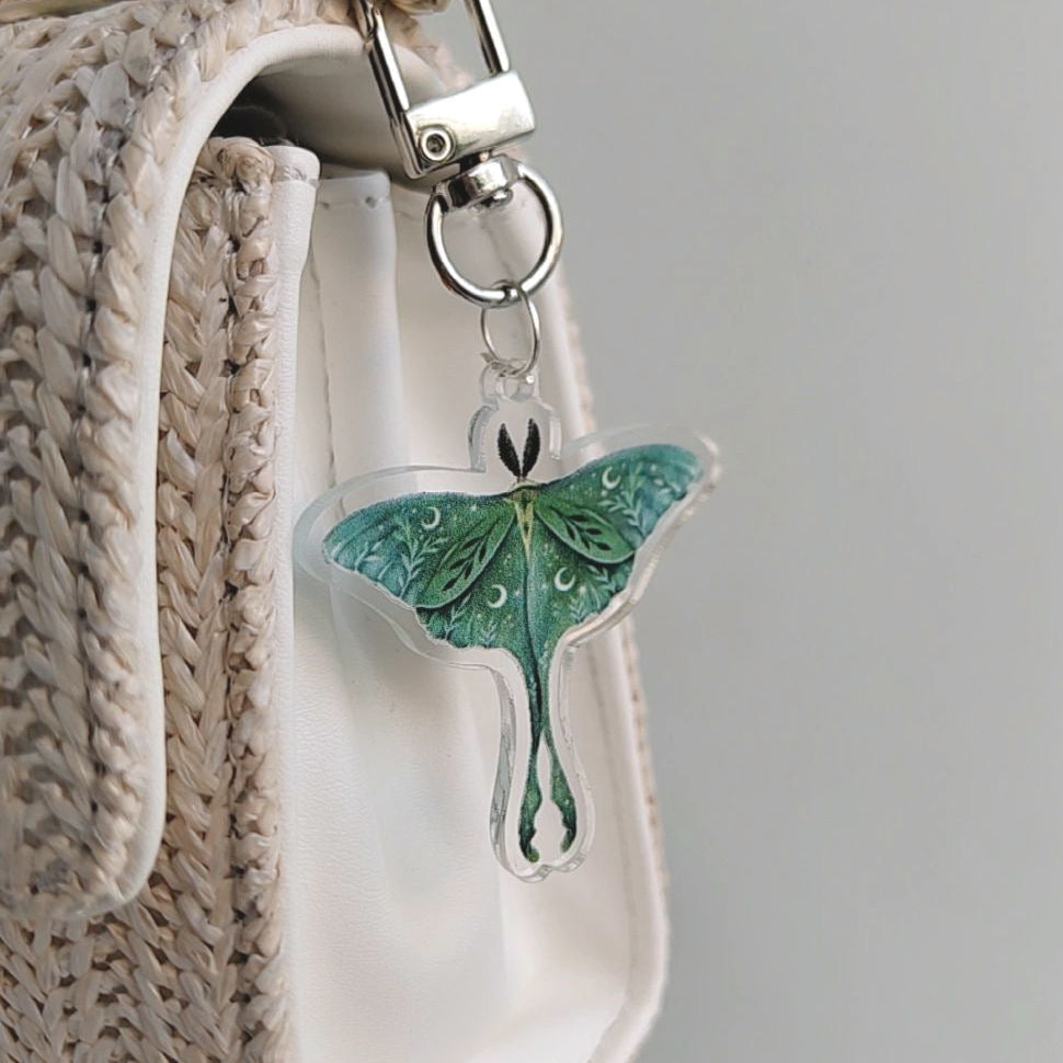 Moth Butterfly 🦋